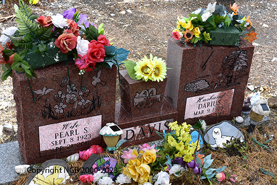 Darius & Pearl S. Davis