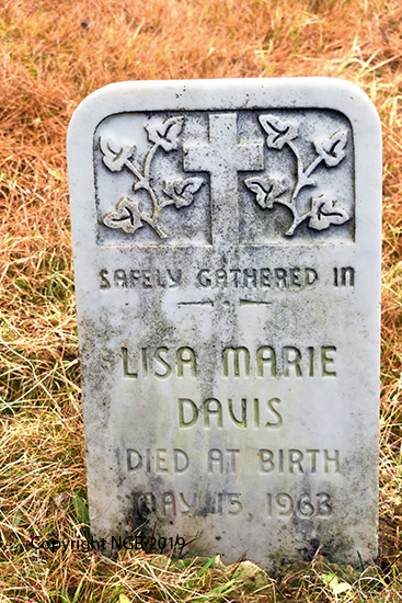 Lisa Marie Davis