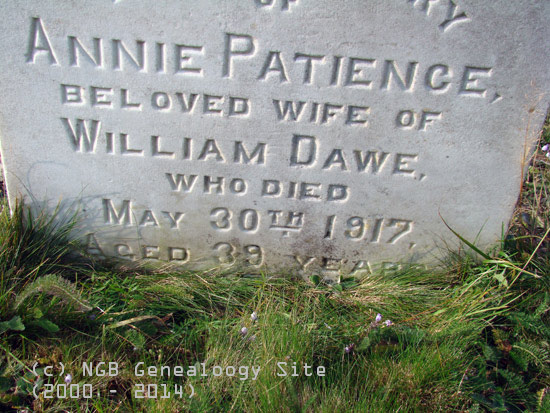 Annie Patience Dawe