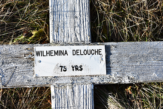 Wilhelmina DeLouche