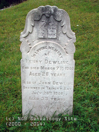 Henry and John Dewling
