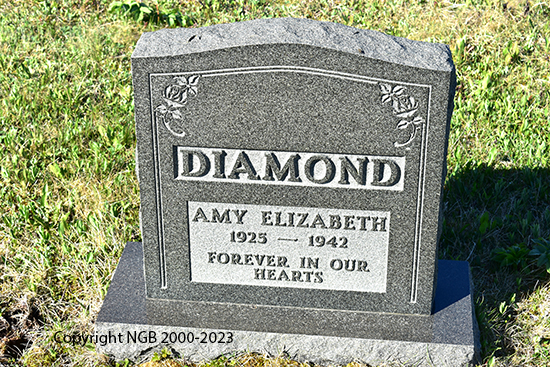Amy Elizabeth Diamond