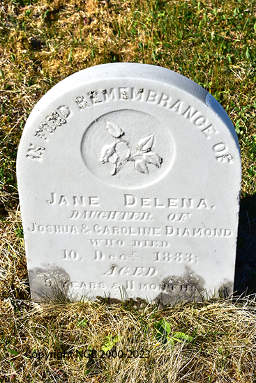 Jane Delena Diamond