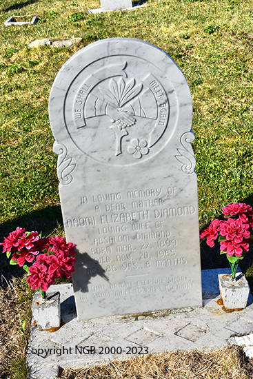 Naomi Elizabeth Diamond