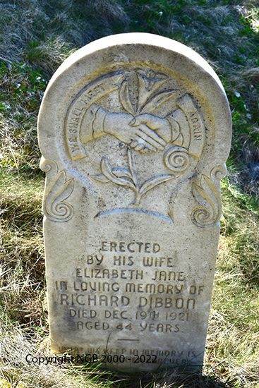Richard Dibbon