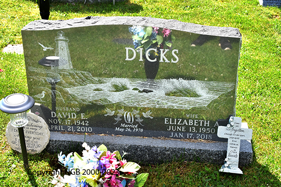 David E. & Elizabeth A. Dicks