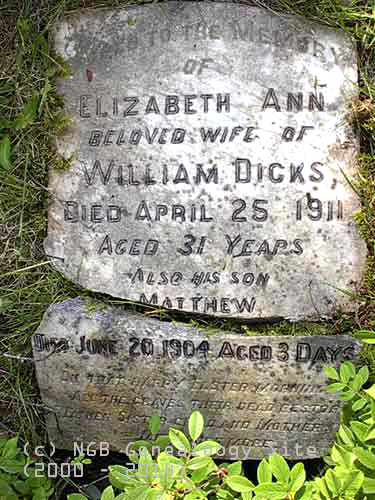 Elizabeth Ann & Matthew Dicks