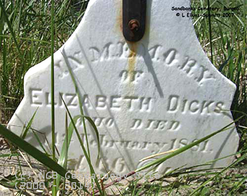Elizabeth Dicks