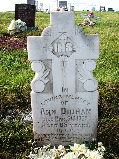 Ann Didham