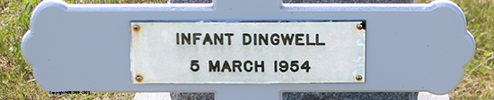 Infant Dingwell
