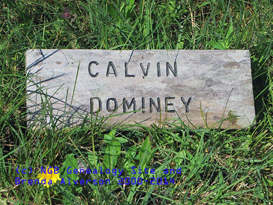 Calvin Dominey