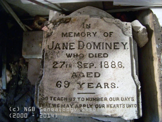 Jane Dominey