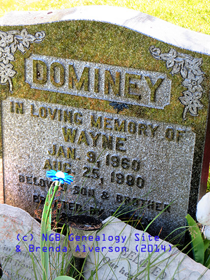 Wayne Dominey