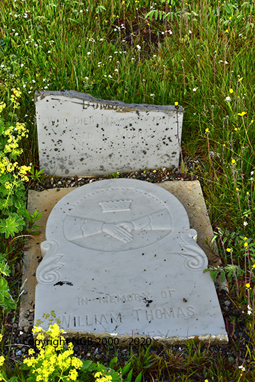 William  Thomas Dominey