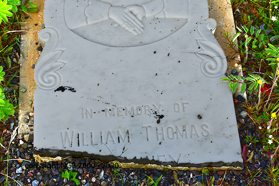 William  Thomas Dominey