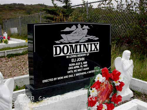 Eli John Dominix