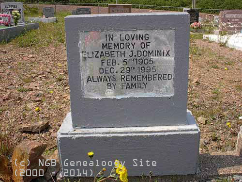 Elizabeth J. Dominix