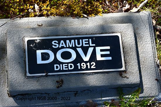 Samuel Dove
