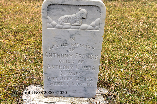 Anthony Francis Downey