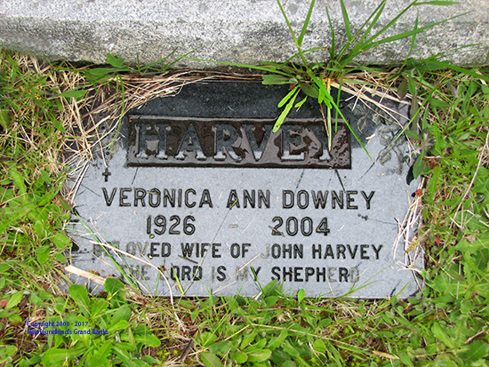 Veonica Ann Downey