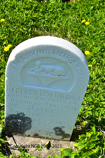 REbecca Dolorose Doyle