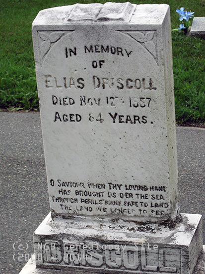 Elias Driscoll