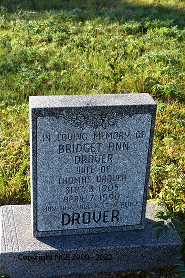 Bridget Ann Drover