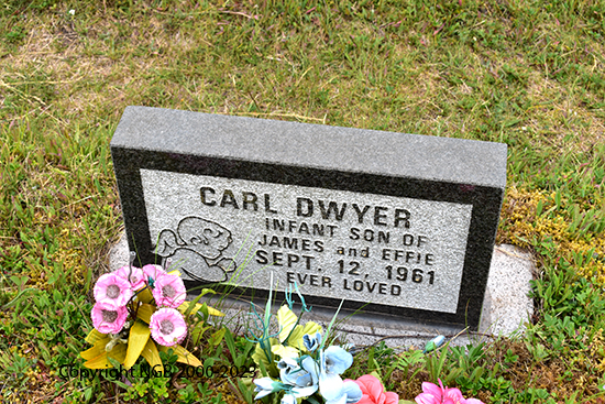 Carl Dwyer