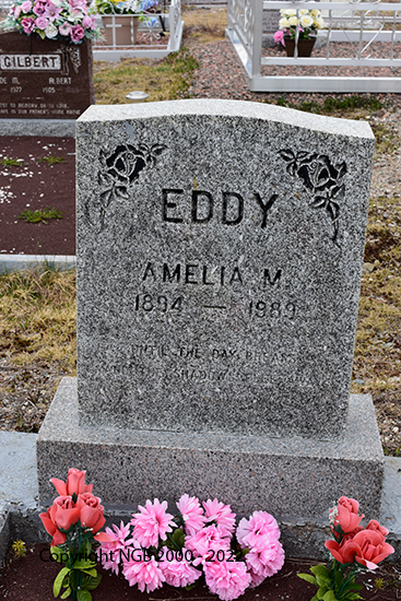 Amelia M. Eddy