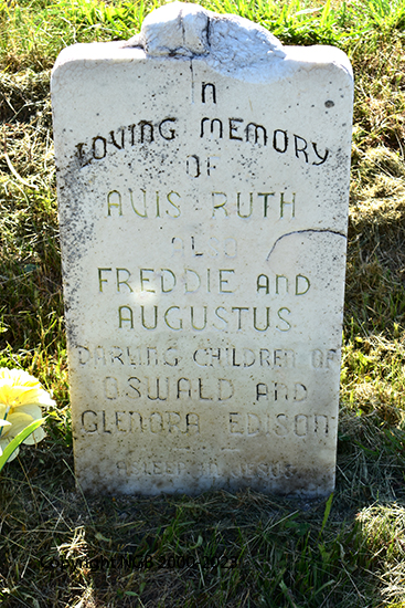 Freddie & Augustus Edison