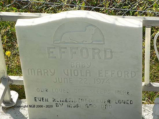 Mary Viola Efford