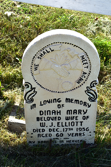 Dinah Mary Elliott