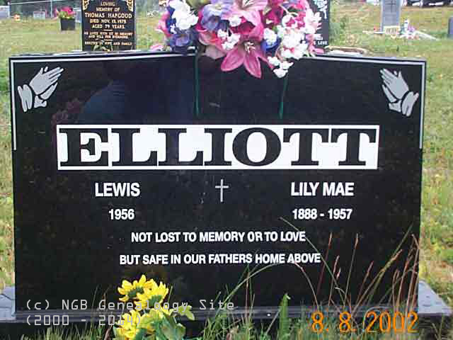 Lewis and Lily Elliott
