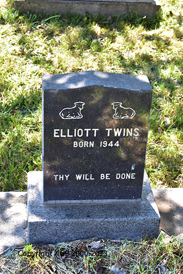 Elliott Twins