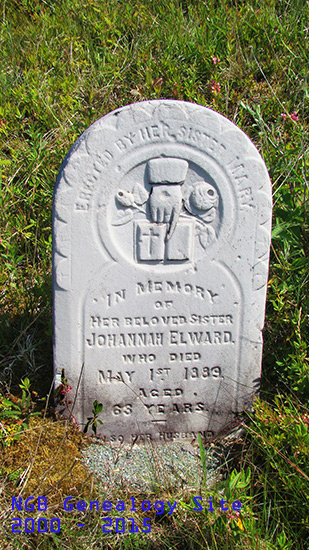 Johannah Elward