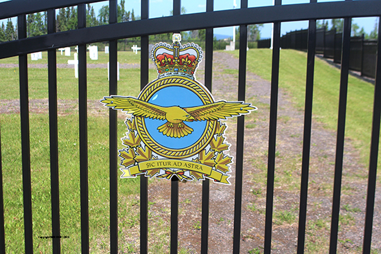 Military Service Emblem