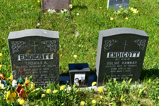 Thomas A. & Dulsie Hannah Endicott