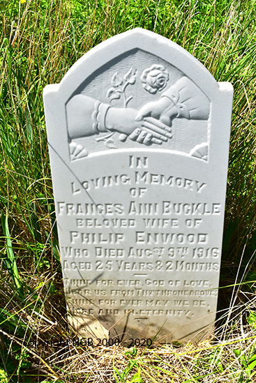 Frances Ann Buckle Enwood 