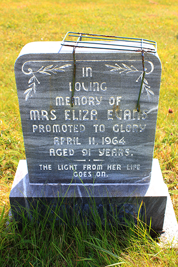 Mrs. Eliza Evns