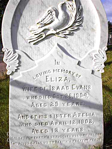 Elizia & Azelia Evans