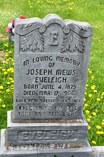 Joseph Mews & Louisa Jane Eveleigh 