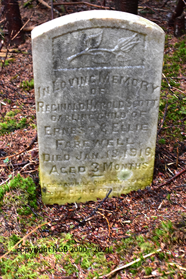 Reginald Harold Scott