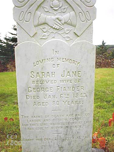 Sarah Jane Fiander