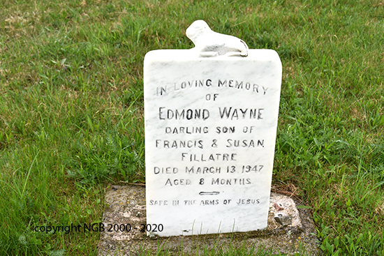 Edmond Wayne