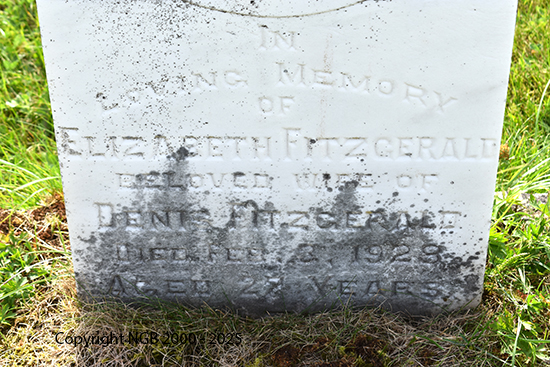 Elizabeth Fitzgerald