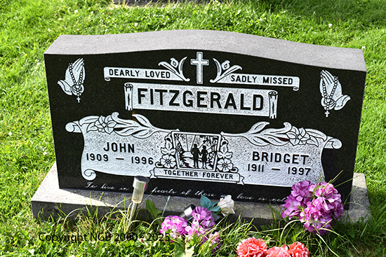 John & Bridget Fitzgerald