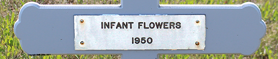 Infant Flowers