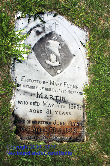 Martin Flynn