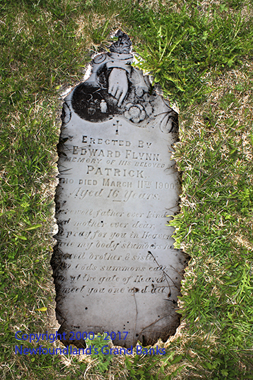 Patrick Flynn
