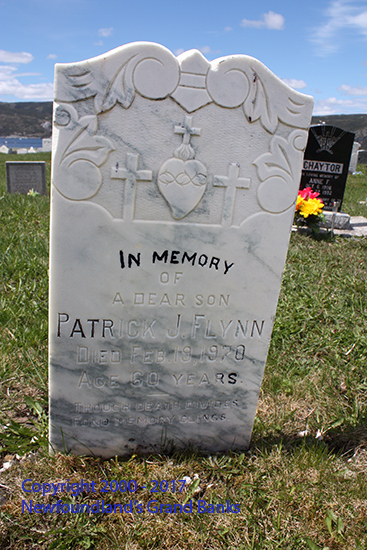Patrick J. Flynn